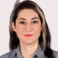 Samaneh Sanatifar